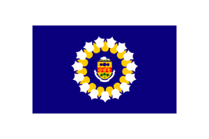 Illustration vecteur du drapeau d'Oshawa flag