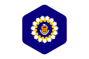 Drapeau d'Oshawa forme hexagone arrondi flag