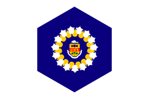 Drapeau d'Oshawa forme hexagone flag