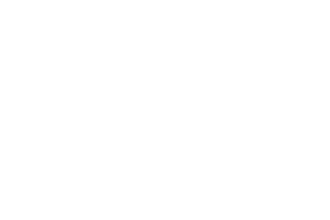 Emblème d'Ottawa flag