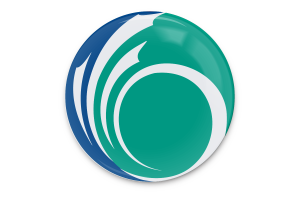 Art vecteur du drapeau d'Ottawa flag