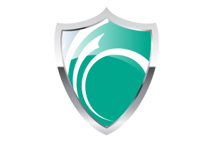 Drapeau d'Ottawa avec bouclier médiéval flag