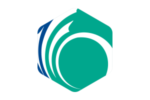 Drapeau d'Ottawa forme hexagone arrondi flag