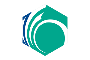 Drapeau d'Ottawa forme hexagone flag