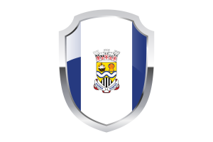 Logo del Escudo de Sarnia flag