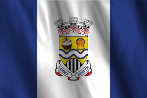 Bandera Nacional de Sarnia flag