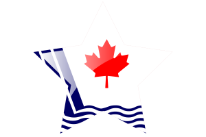 Scarborough Flag Star Icon flag