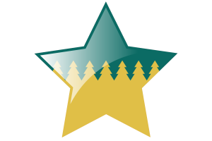 Sudbury Flag Star Icon flag
