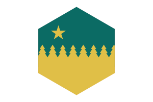 Sudbury Flag Hexagon Shape flag