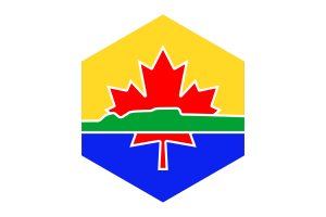 Thunder Bay Flag Hexagon Shape flag