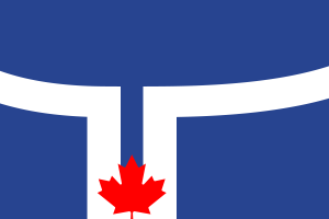 Flag of Toronto flag
