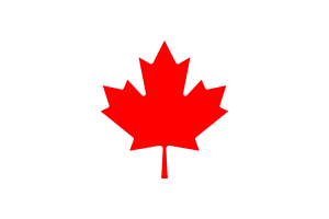 Emblem of Toronto flag