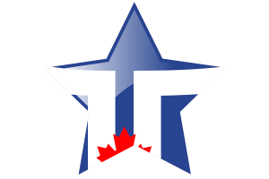 Toronto Flag Star Icon flag