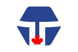 Toronto Flag Illustration Hexagon Rounded Shape flag