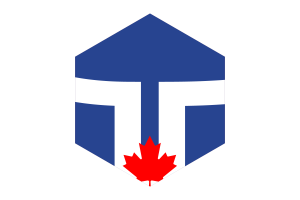 Toronto Flag Hexagon Shape flag