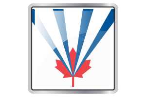 Vaughan Flag Square icon flag
