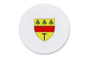 Art Vecteur Drapeau de Regina flag