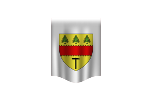 Bannière Drapeau de Chibougamau flag