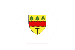 Drapeau de Chibougamau Vecteur Gratuit | SVG et PNG flag