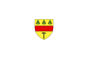 Drapeau de Chibougamau Forme Carrée Arrondie flag