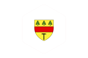 Drapeau de Chibougamau Forme Hexagone Arrondi flag