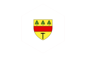 Drapeau de Chibougamau Forme Hexagone flag