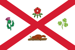 Flag of Montreal flag