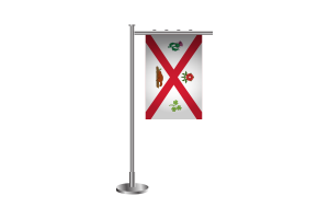 3d Montreal Standing Flag flag