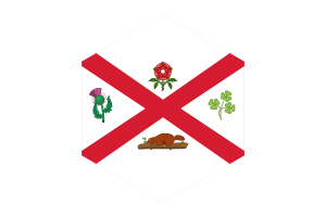 Montreal Flag Hexagon Shape flag