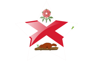 Montreal Flag Star Icon flag
