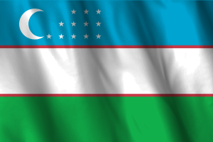 National Flag of Uzbekistan flag