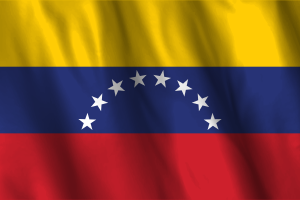 National Flag of Venezuela flag