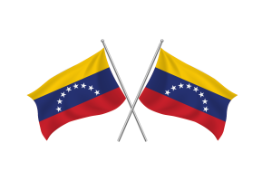 Venezuela Waving Friendship Flag flag