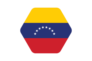 Venezuela Flag Vector Illustration flag