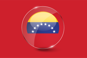 Venezuela Flag Glossy Round Button flag
