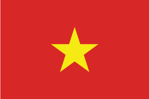 Flag of Vietnam flag