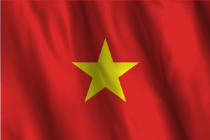 National Flag of Vietnam flag