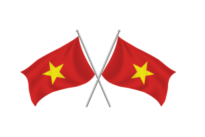 Vietnam Waving Friendship Flag flag