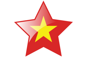 Vietnam Flag Star Icon flag