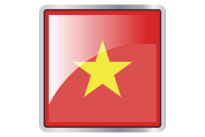 Vietnam Flag Square icon flag