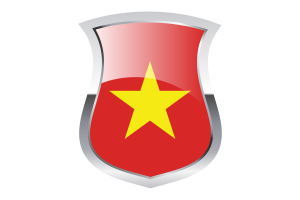 Vietnam Pride Flag flag
