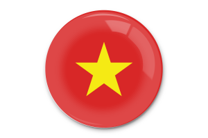 Vietnam Flag Vector Art flag