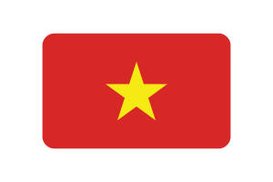 Vietnam Flag Triangle Rounded Shape flag