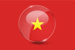 Vietnam Flag Glossy Round Button flag