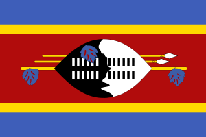 Flag of Eswatini flag