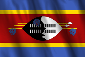 National Flag of Eswatini flag