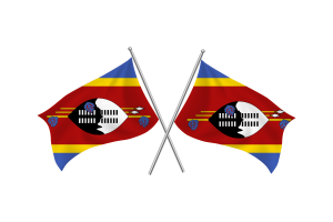 Eswatini Waving Friendship Flag flag