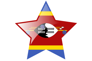Eswatini Flag Star Icon flag