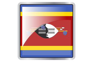 Eswatini Flag Square icon flag