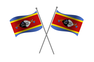 Eswatini Friendship Flag flag